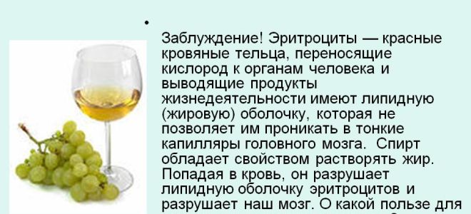 Вред и польза алкоголя: допустимые нормы потребления спиртных напитков