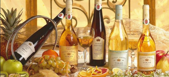 Вино Shiraz (Шираз) — история возникновения и особенности производства австралийского напитка, на что обратить внимание при выборе алкоголя
