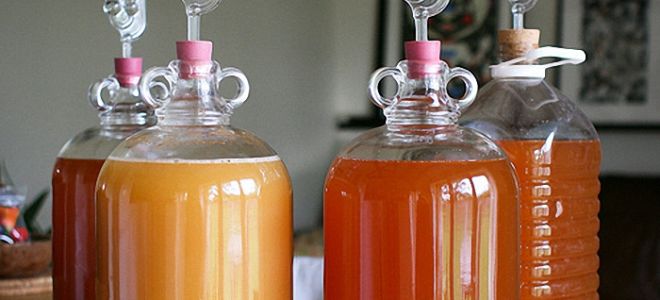 Как и какой водой разбавлять самогон: методика и технология приготовления домашнего алкоголя