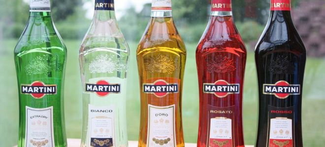 Мартини: история зарождения вермута, виды и названия легендарного напитка