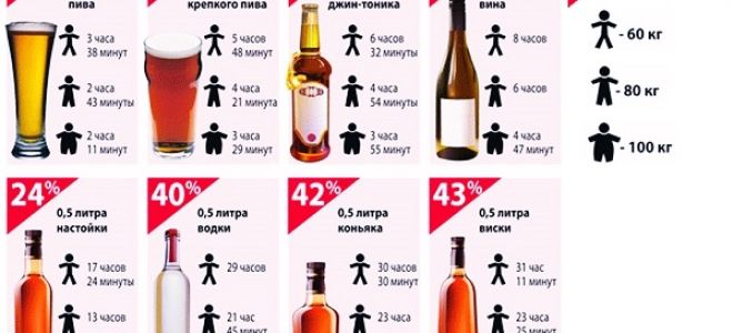 Сколько выветривается пиво: время выведения этанола из организма у мужчин и женщин, эффективные способы ускорения вывода алкоголя