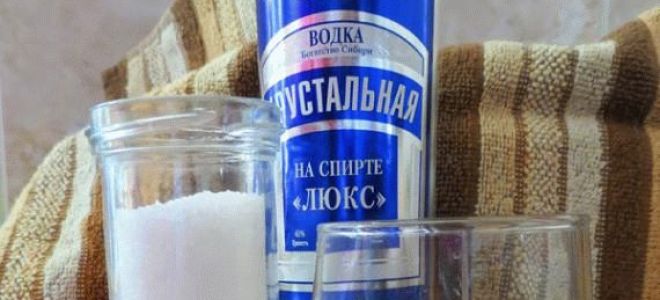 Водка с солью: показания к применению, механизм действия и рецепты приготовления лечебного средства