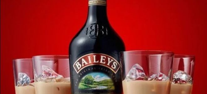 С чем пьют ликер — как его правильно употреблять и с чем разбавлять, правила подачи и выбора закуски