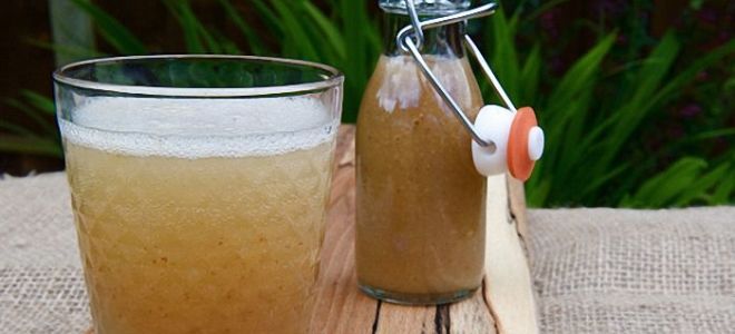 Blavod (Черная водка) — производители и состав напитка, особенности употребления, как сделать в домашних условиях