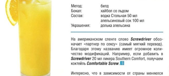 Отвертка коктейль: разновидности и правила приготовления напитка, как правильно подавать