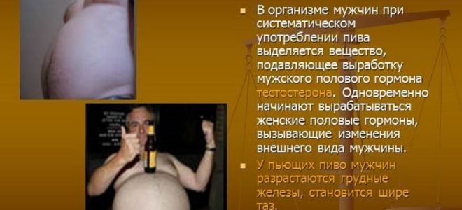 Как пиво влияет на мужской организм: правила безопасного употребления, мифы и факты о воздействии пенного напитка на здоровье