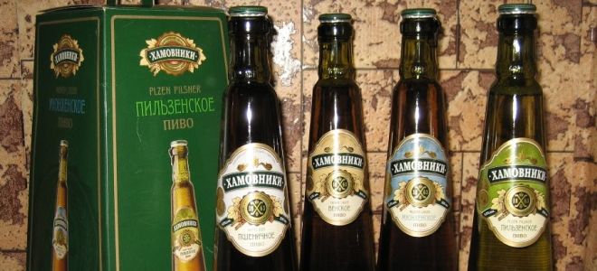 Хамовники пиво: разнообразие вкусов, дегустационные характеристики, отзывы любителей пенного напитка